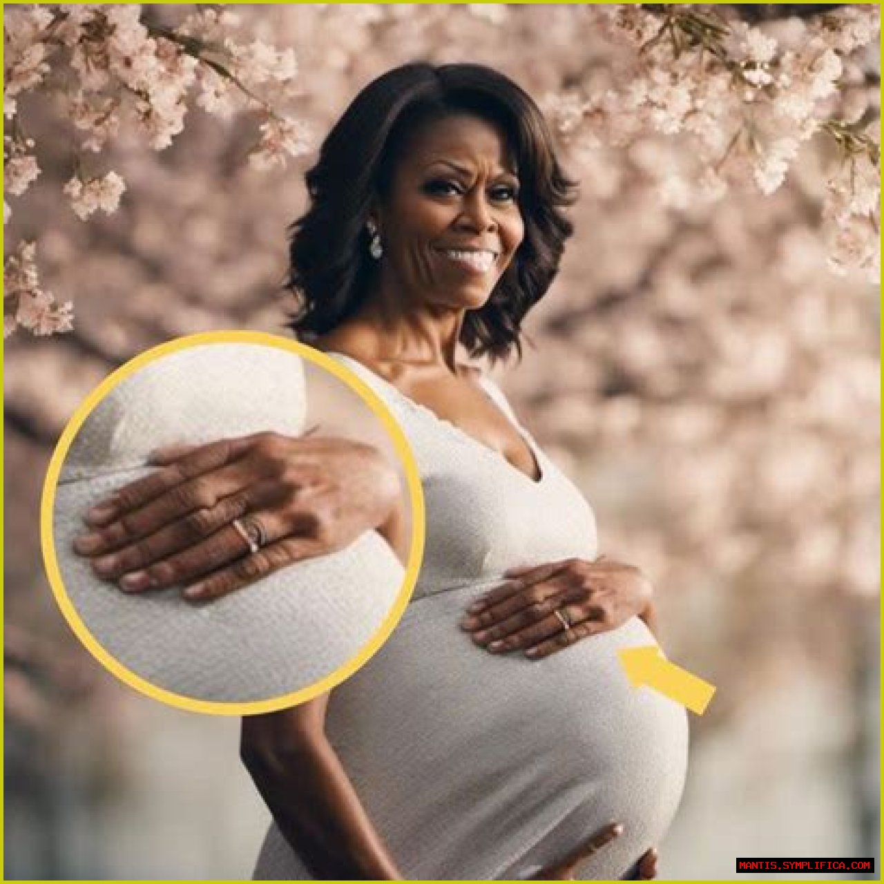 Michele Obama Pregnant: Understanding The Speculations And Truth Behind The Rumors